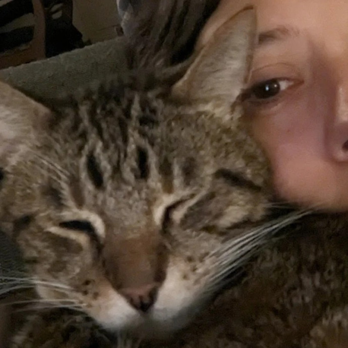 Experienced Sitter And Cats' Best Friend