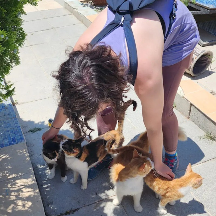Experienced Sitter And Cats' Best Friend