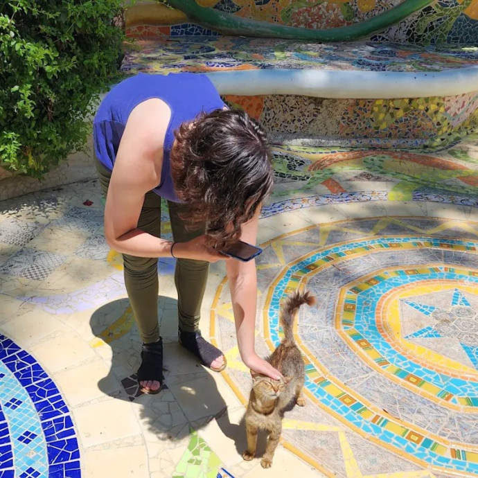 Experienced Sitter And Cats' Best Friend photo 2