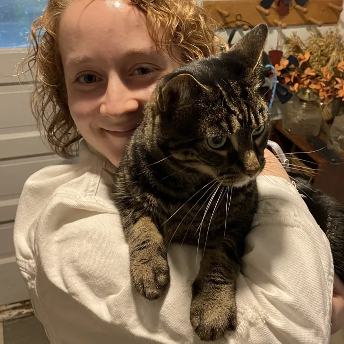 Your Furrendly Neighborhood Sitter