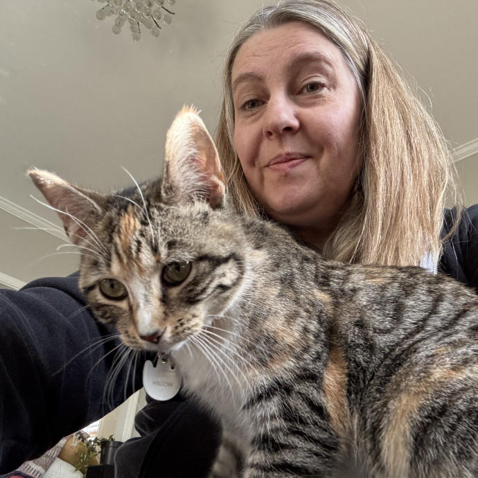 Reliable Loving Care For Your Cats