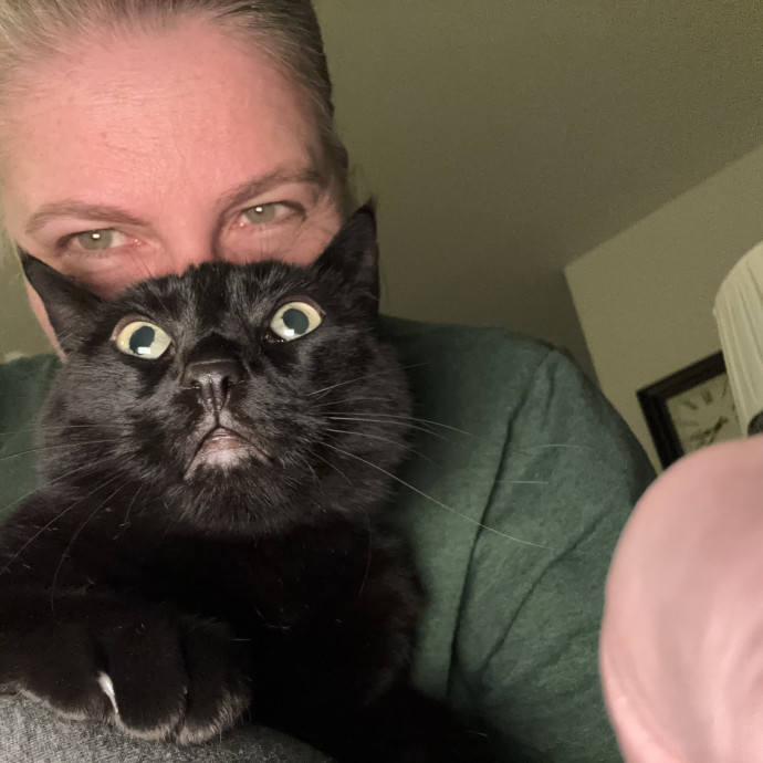 Reliable Loving Care For Your Cats photo 2