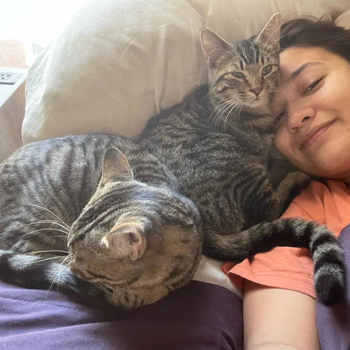 There's Always Room For Another Cat