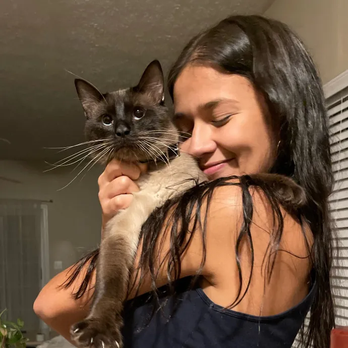 There's Always Room For Another Cat