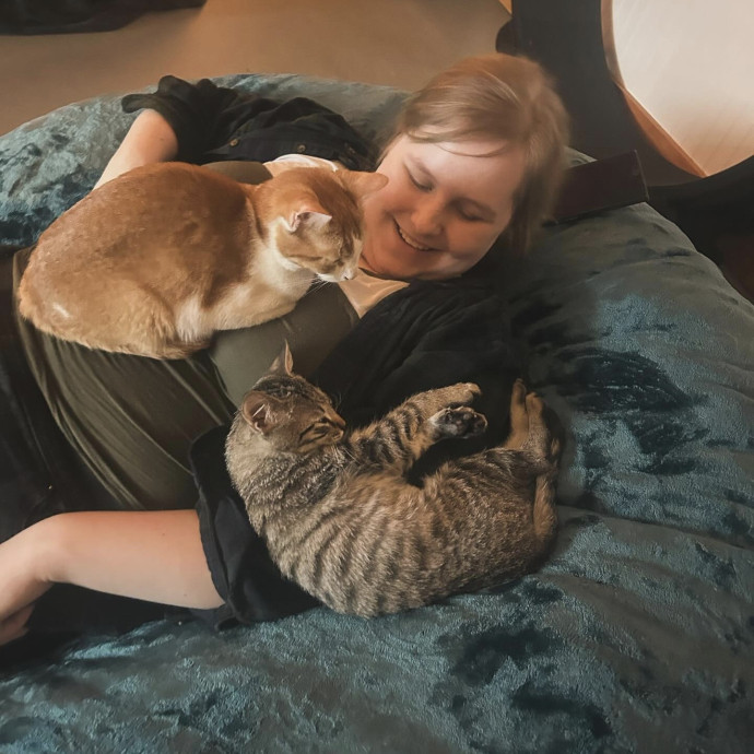 Cat Caretaker For Hire photo 2