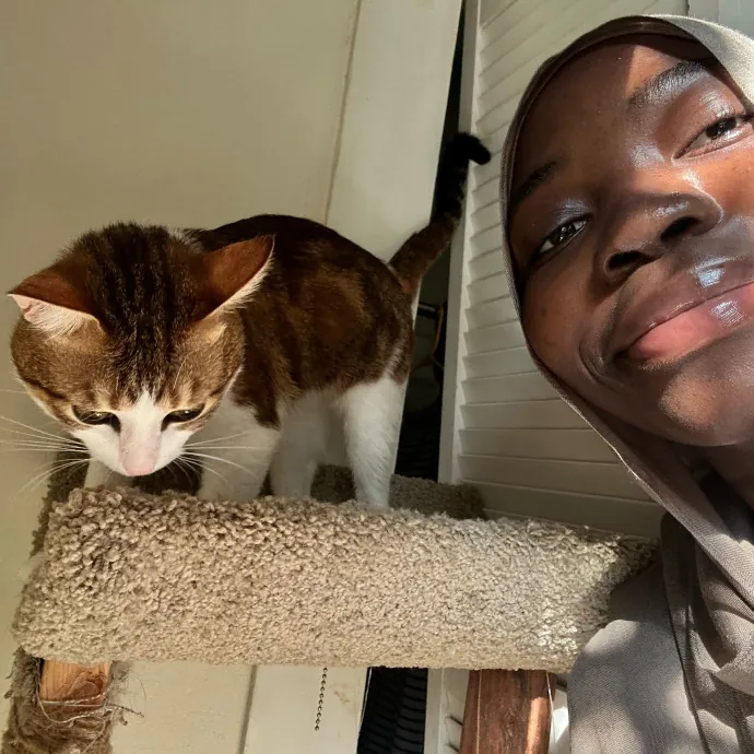 Cats For The Culture