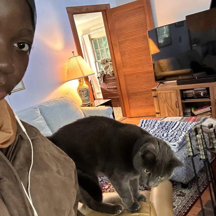 Cats For The Culture