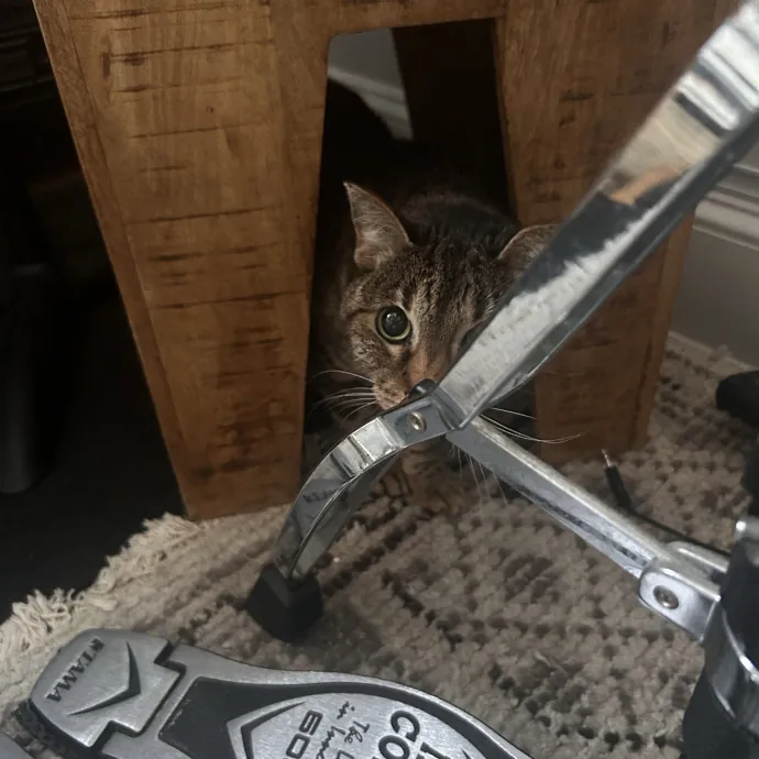 Ajijolaoluwa S.