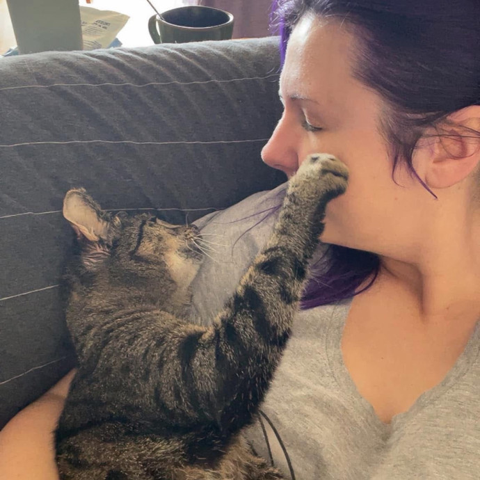 Your Cat's New Favorite Human