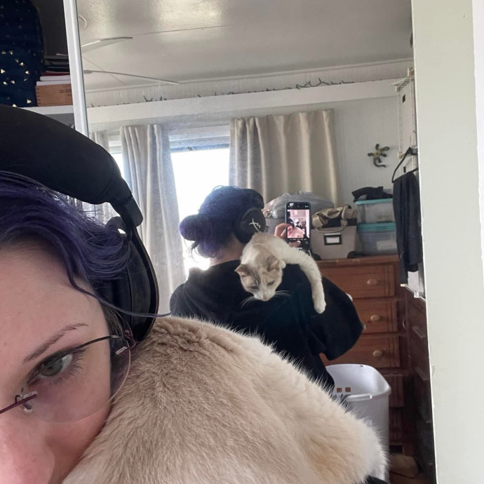 Your Cat's New Favorite Human photo 2