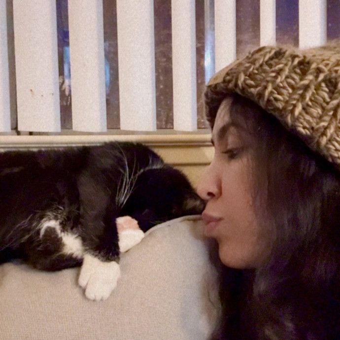 Professional Cat Care Provider 5 Years