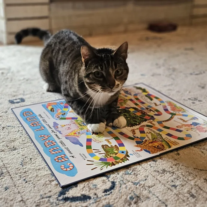 Paw-Sitive Vibes For Your Feline Tribe