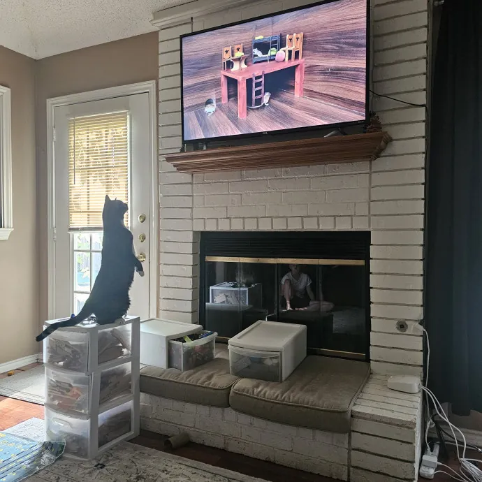 Paw-Sitive Vibes For Your Feline Tribe