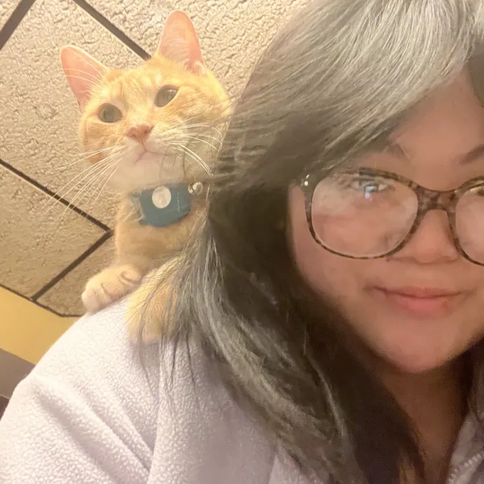 Lica's Cozy Cat Cove