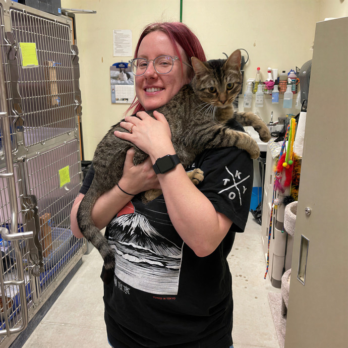 Nickol's Cat Sitting Services - Pearland photo 2