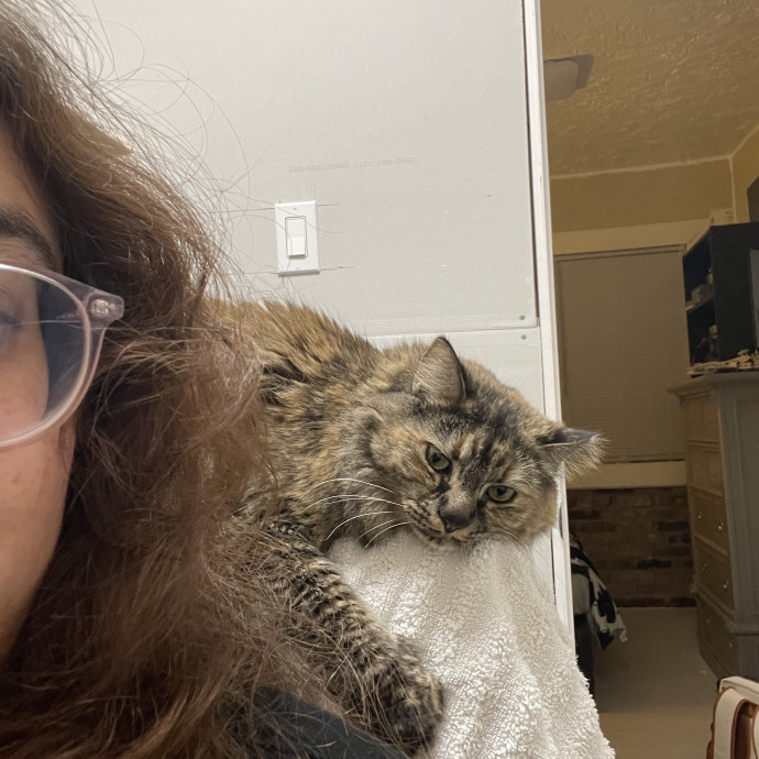 Attentive Sitter Available photo 3