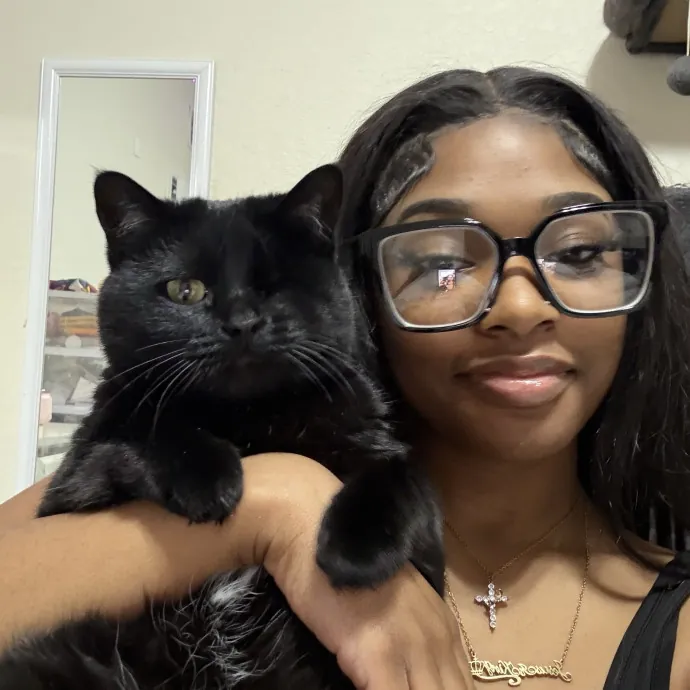 Gentle Reliable Cat Sitter