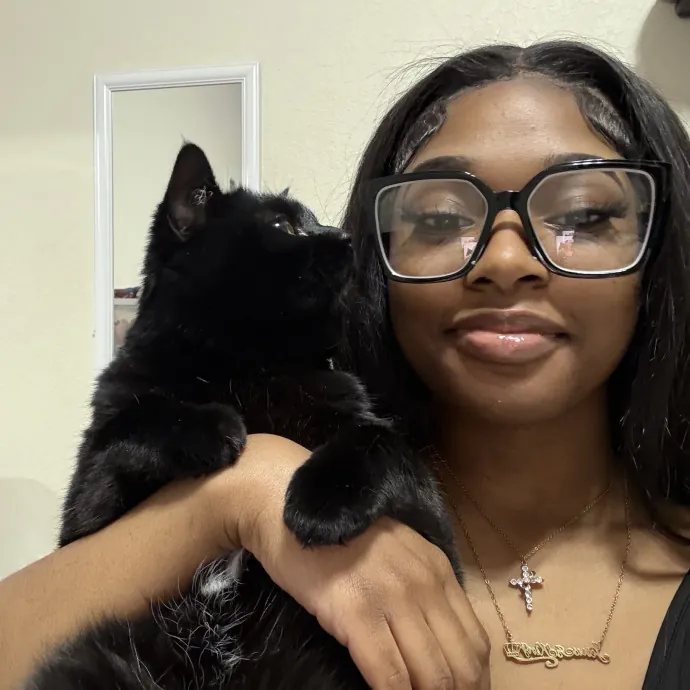 Gentle Reliable Cat Sitter