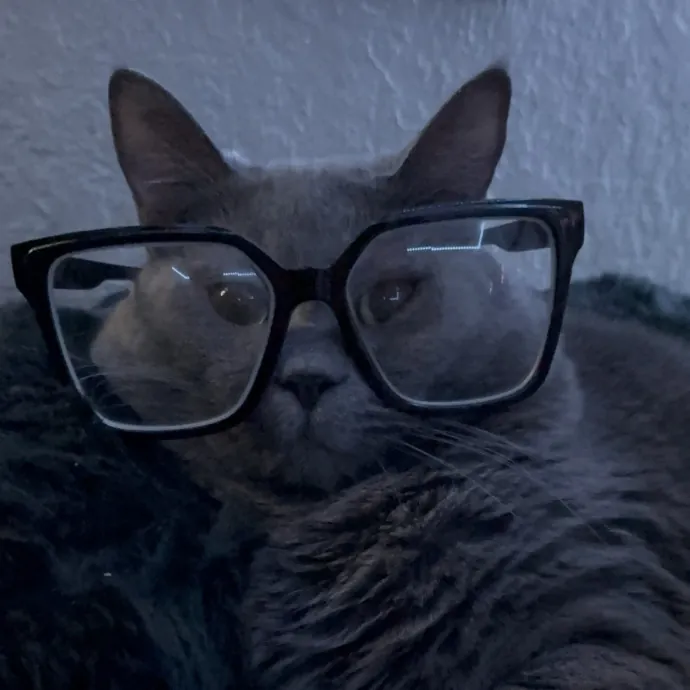 Gentle Reliable Cat Sitter