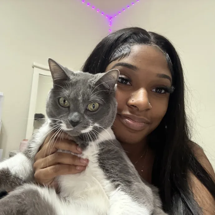 Gentle Reliable Cat Sitter