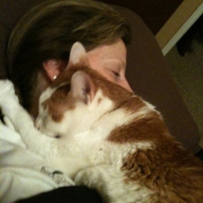 Cat Lover And Mommy