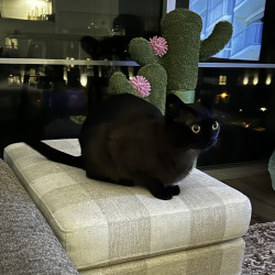 Photo #2
