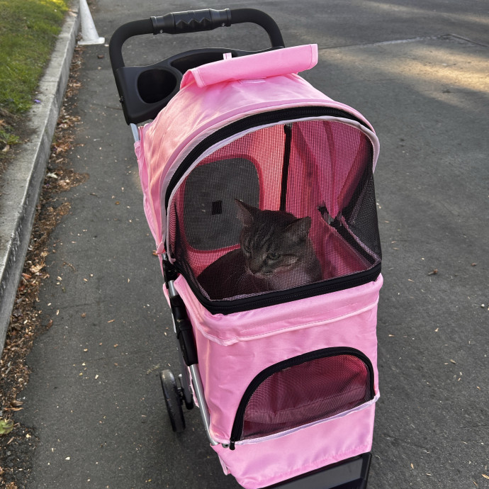 Cat Lover And Mommy