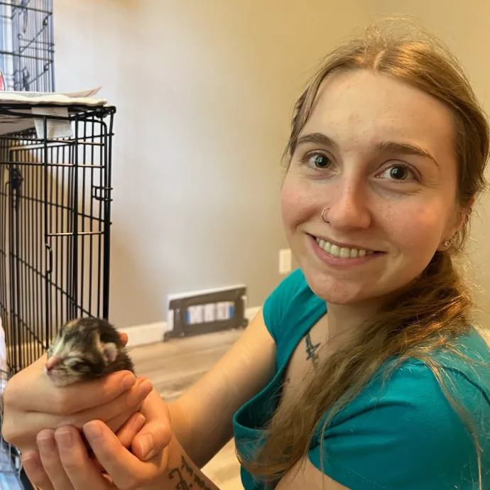 Ella's Kitty Care photo 3