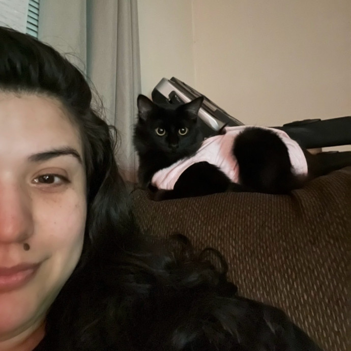 Lifelong Cat Lover  Seasoned Sitter