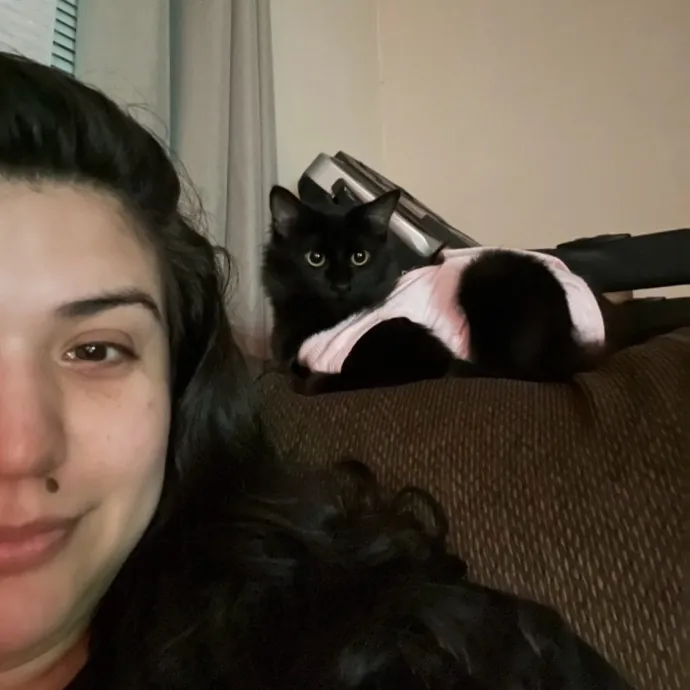 Lifelong Cat Lover  Seasoned Sitter