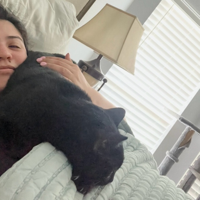 Lifelong Cat Lover  Seasoned Sitter