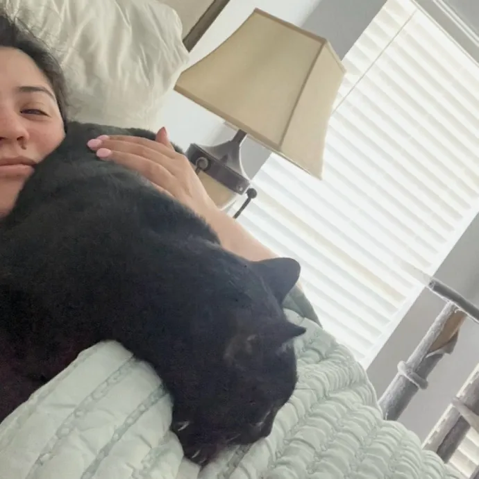 Lifelong Cat Lover  Seasoned Sitter