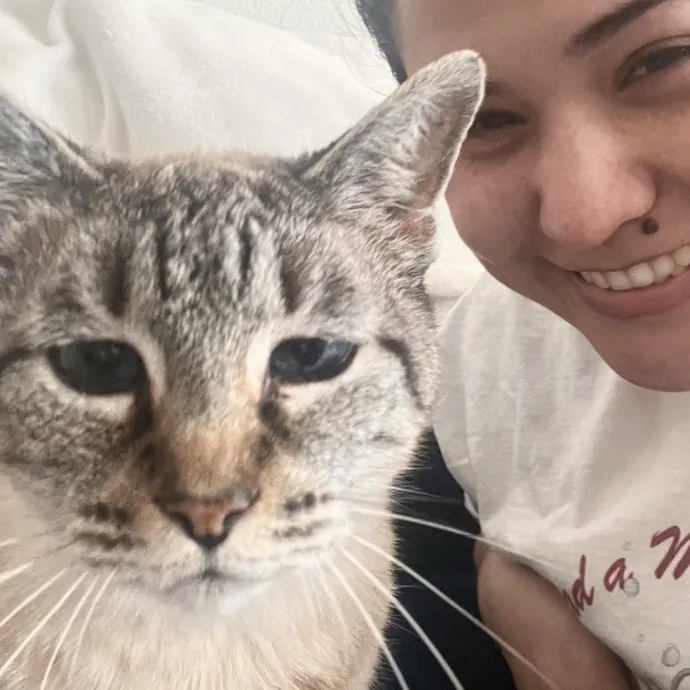 Lifelong Cat Lover  Seasoned Sitter photo 2