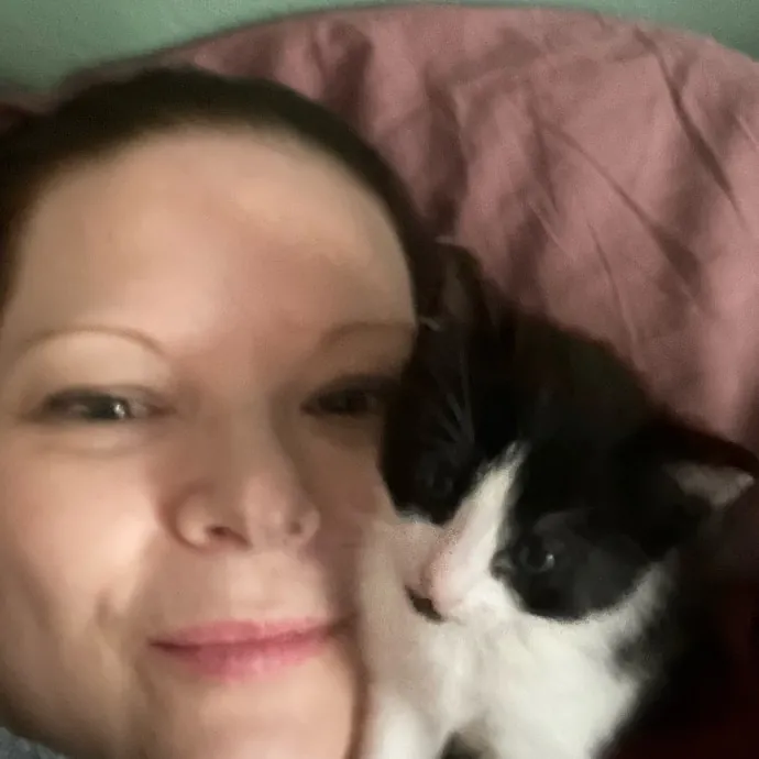 Experienced Kitty Foster Mama