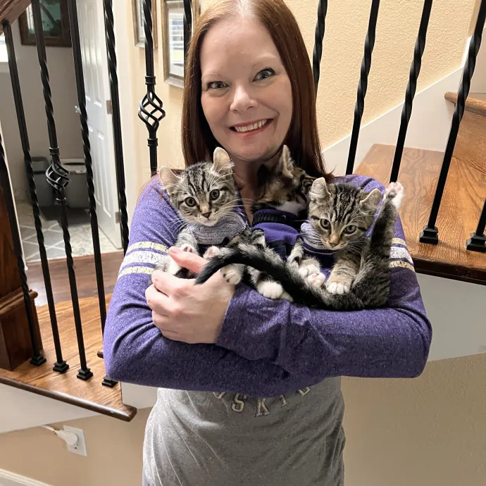 Experienced Kitty Foster Mama