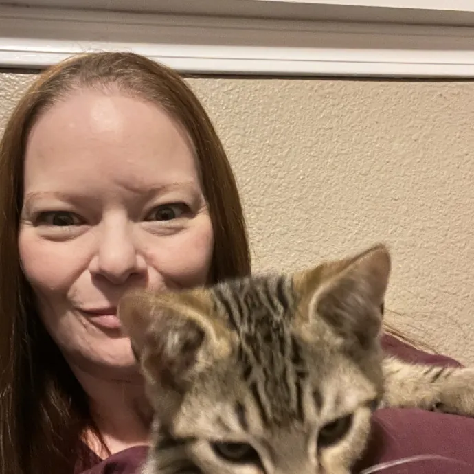 Experienced Kitty Foster Mama