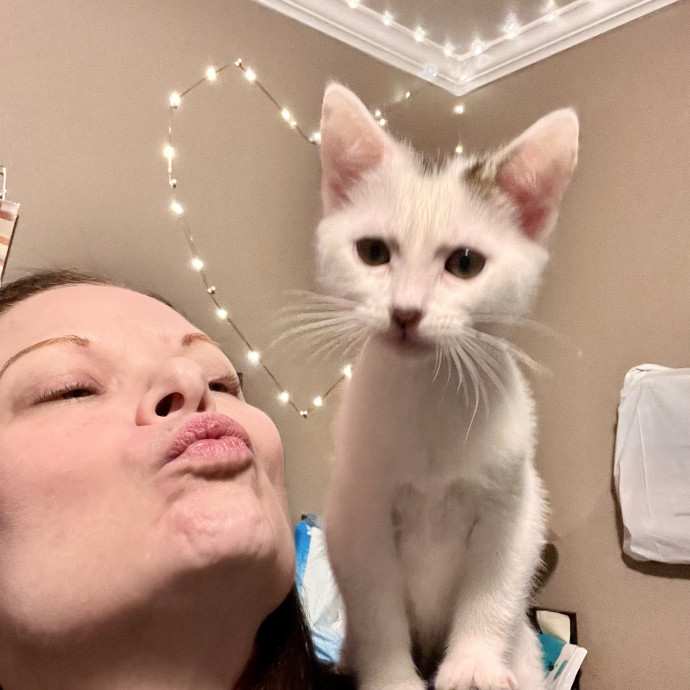 Experienced Kitty Foster Mama
