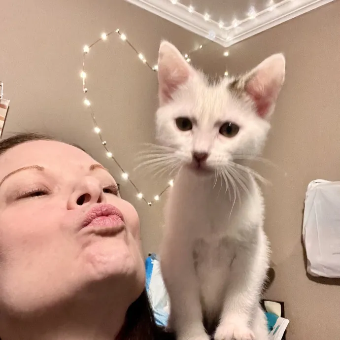 Experienced Kitty Foster Mama