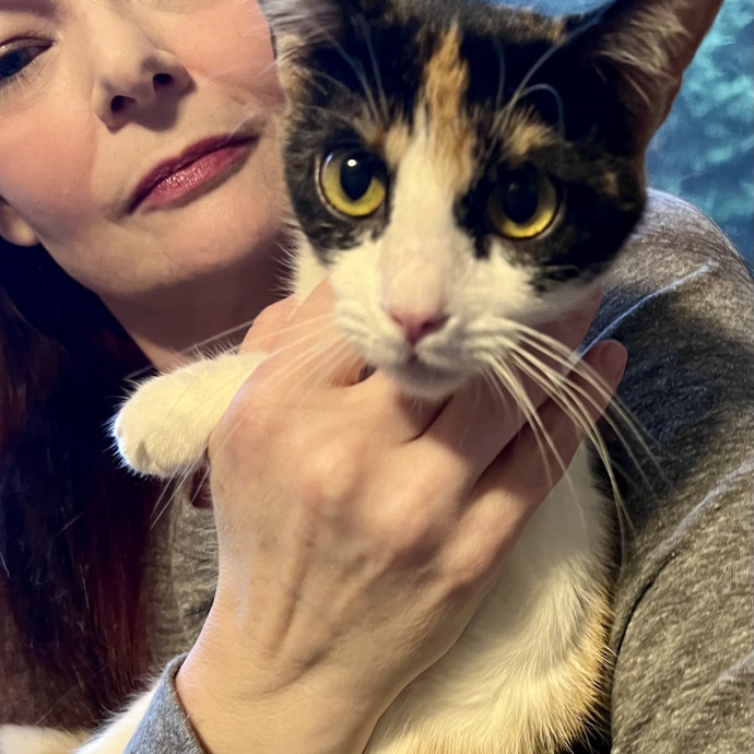 Experienced Kitty Foster Mama photo 3