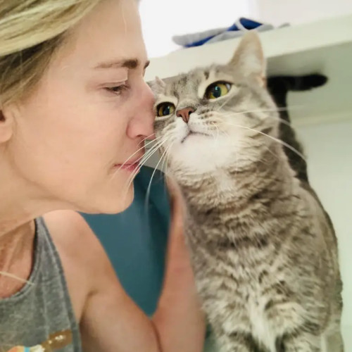 Communicative  Reliable Caretaker