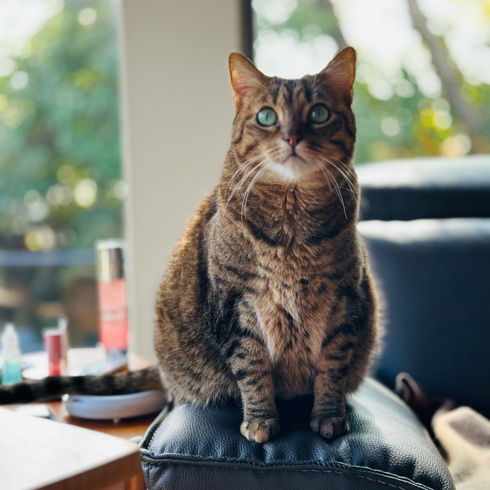 Communicative  Reliable Caretaker