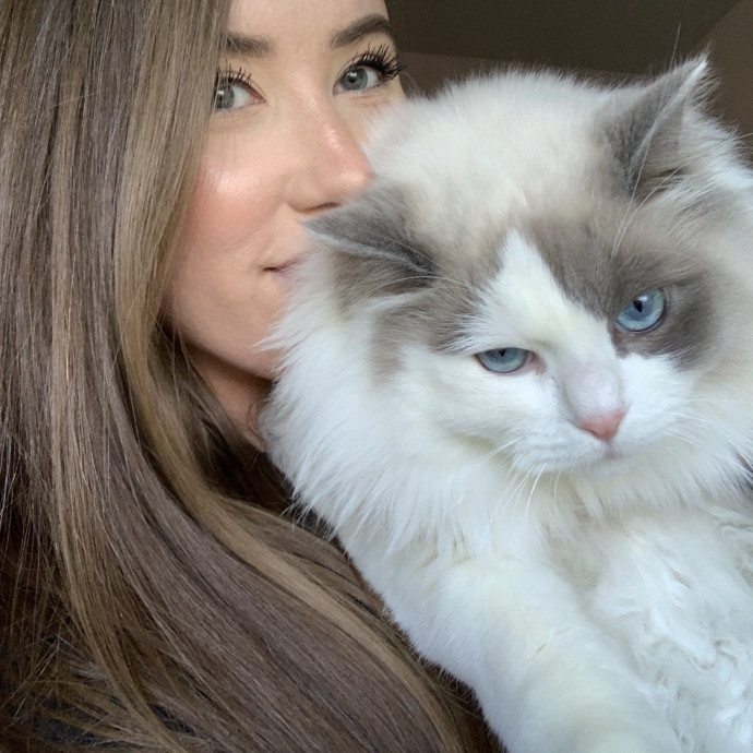 Compassionate Reliable Cat Care