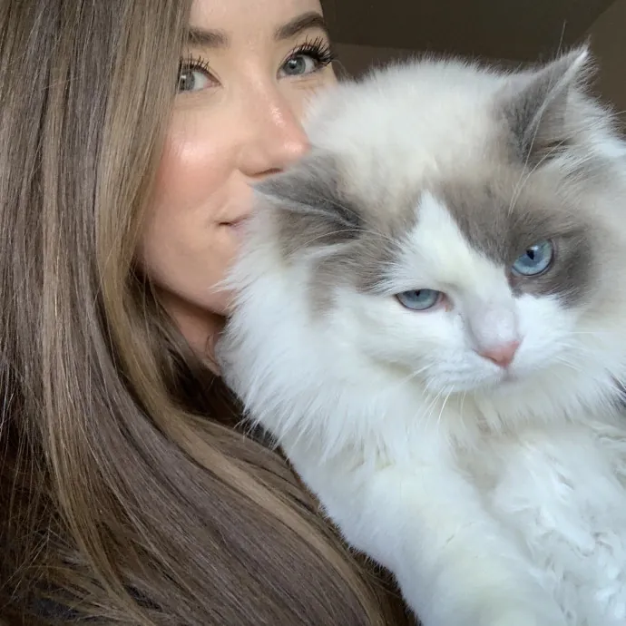 Compassionate Reliable Cat Care