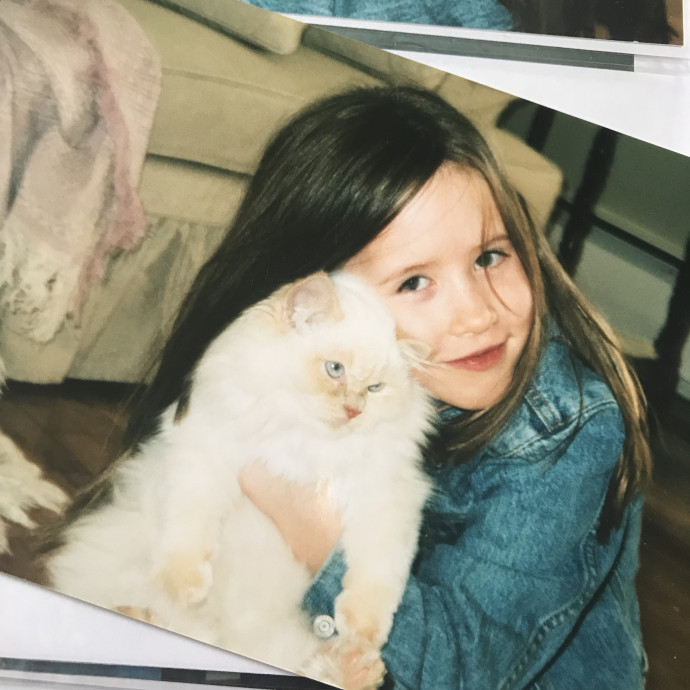 Compassionate Reliable Cat Care
