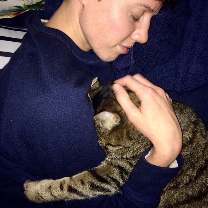 Calm Caring Sitter For Every Cat