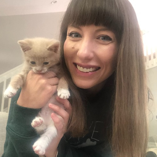 Purrfessional Cat Care