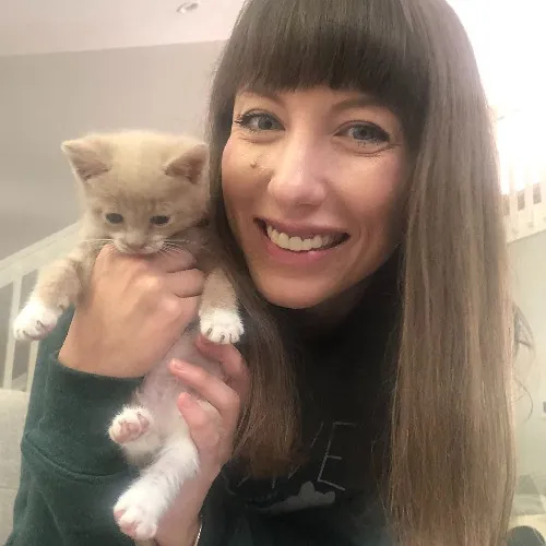 Purrfessional Cat Care