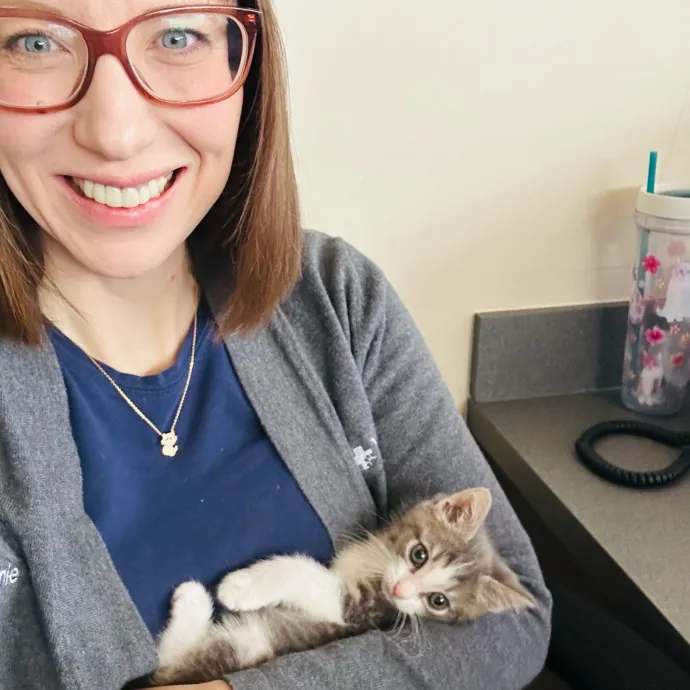 Purrfessional Cat Care