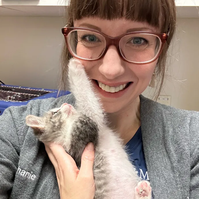 Purrfessional Cat Care