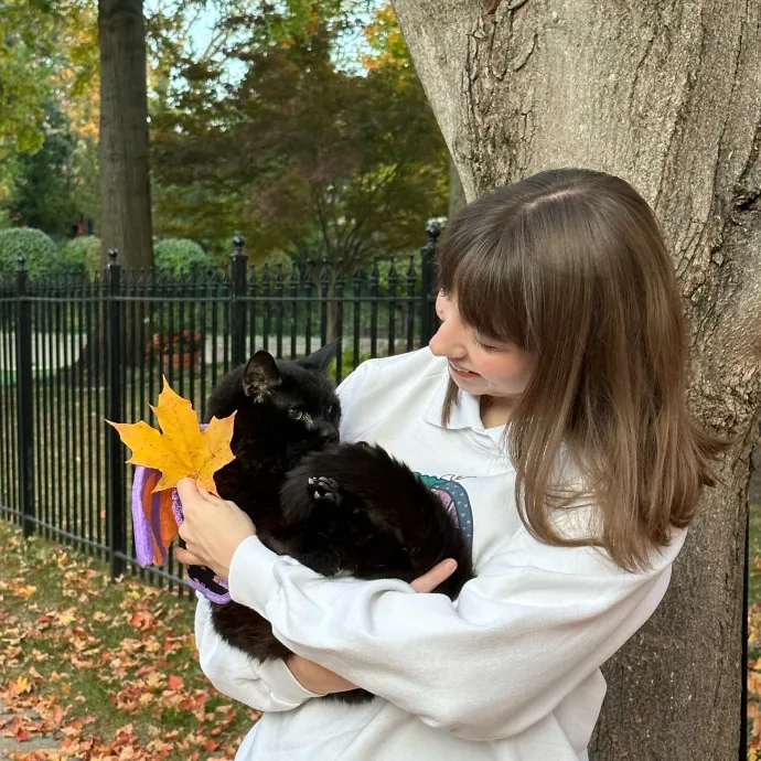 Purrfessional Cat Care